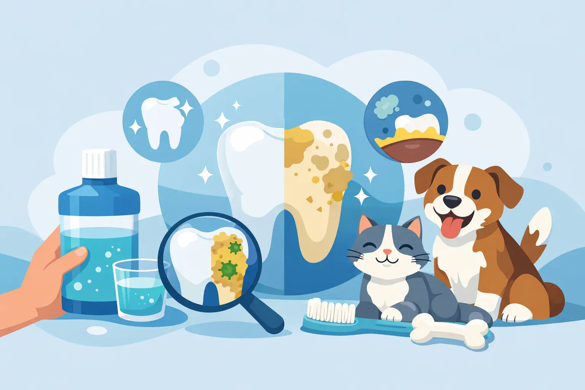 Does Pet Mouthwash Help With Plaque?